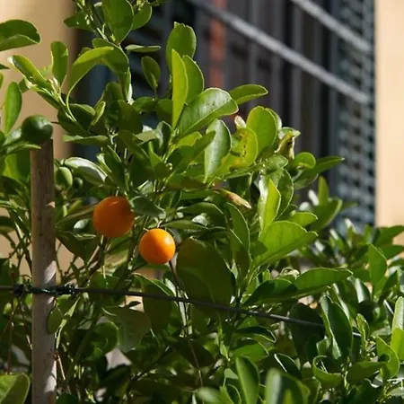 Il Giglio Nel Chianti Dom wakacyjny *