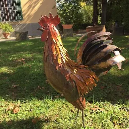 Il Giglio Nel Chianti * Calzaiolo