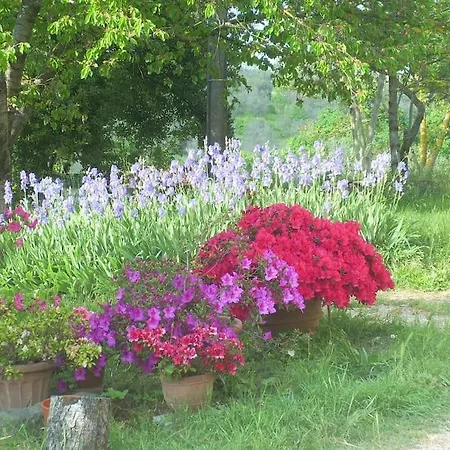 Il Giglio Nel Chianti Holiday home *