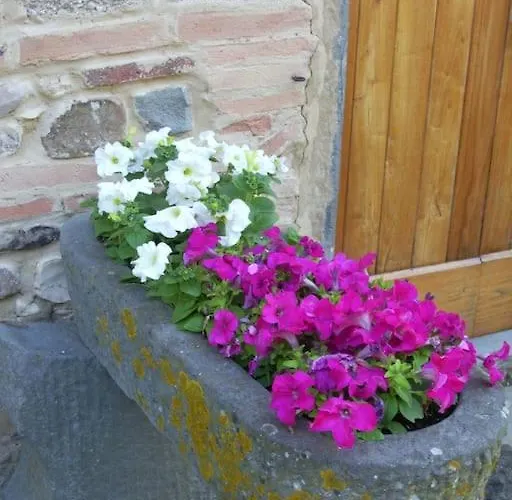 Dom wakacyjny Il Giglio Nel Chianti